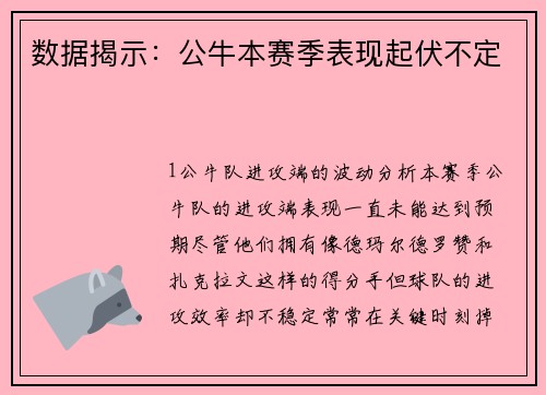 数据揭示：公牛本赛季表现起伏不定